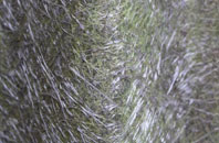 Glais fibreglass roof work